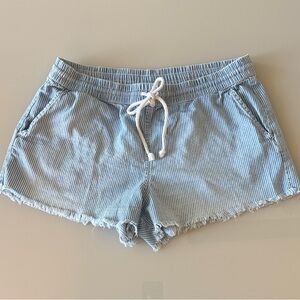 Aerie Blue Striped Women Shorts- M
